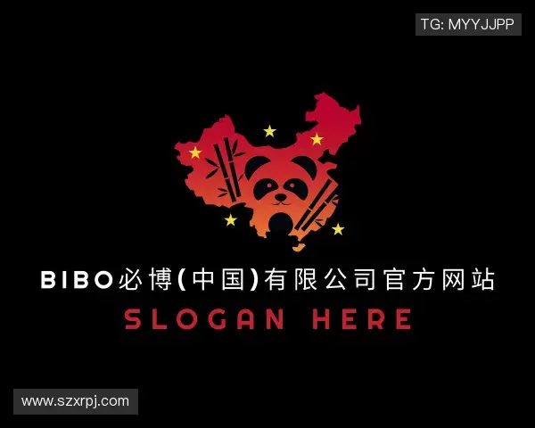 解读bibo必博